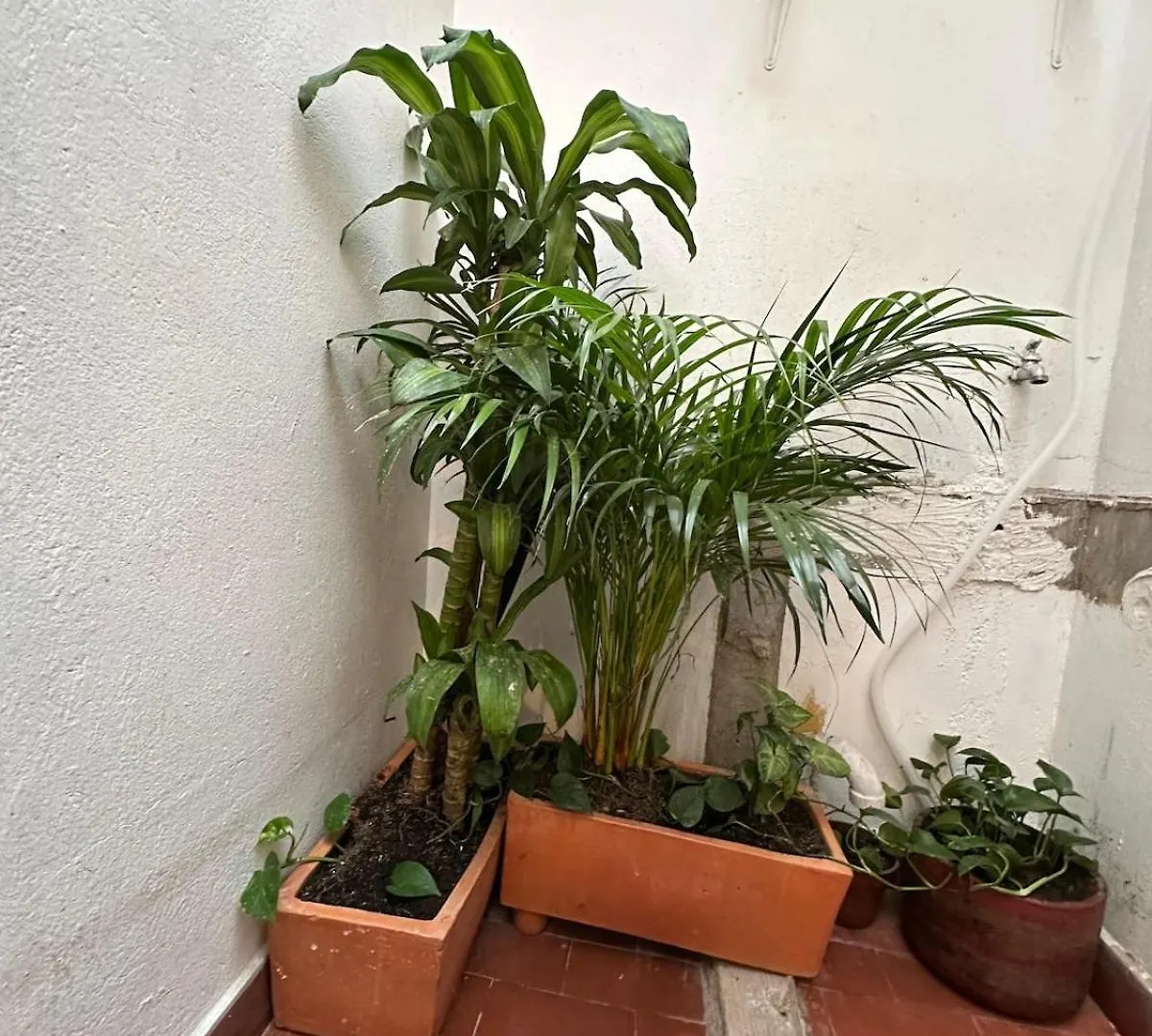 Apartment Apto Con Vista En Distrito Cultural De Medellin